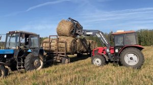 IMG_5323 Охота на Кабана