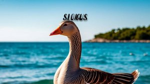 ёж пьёт како