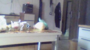 Хата онлайн 18+