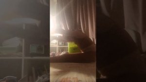 1000053700.mp4