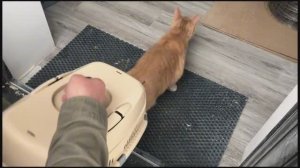 Переезд в дом. Серия 1