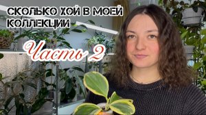 Считаем хойи в моей коллекции. Часть 2.