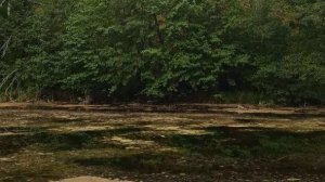 Озеро ПОТАЙНОЕ.Практическое занятие с водой.