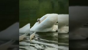 Нейросеть - А давай ты и я навсегда на года