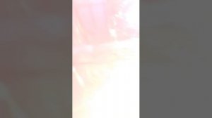 трансляция