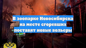 В зоопарке Новосибирска на месте сгоревших поставят новые вольеры