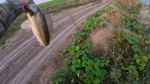 Первый достойный судак сезона пойман! Рыбалка на секретном водоеме. Оооочень трудовая!