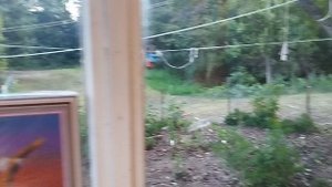 Воспоминания о деревне.Сентябрь 2025г...