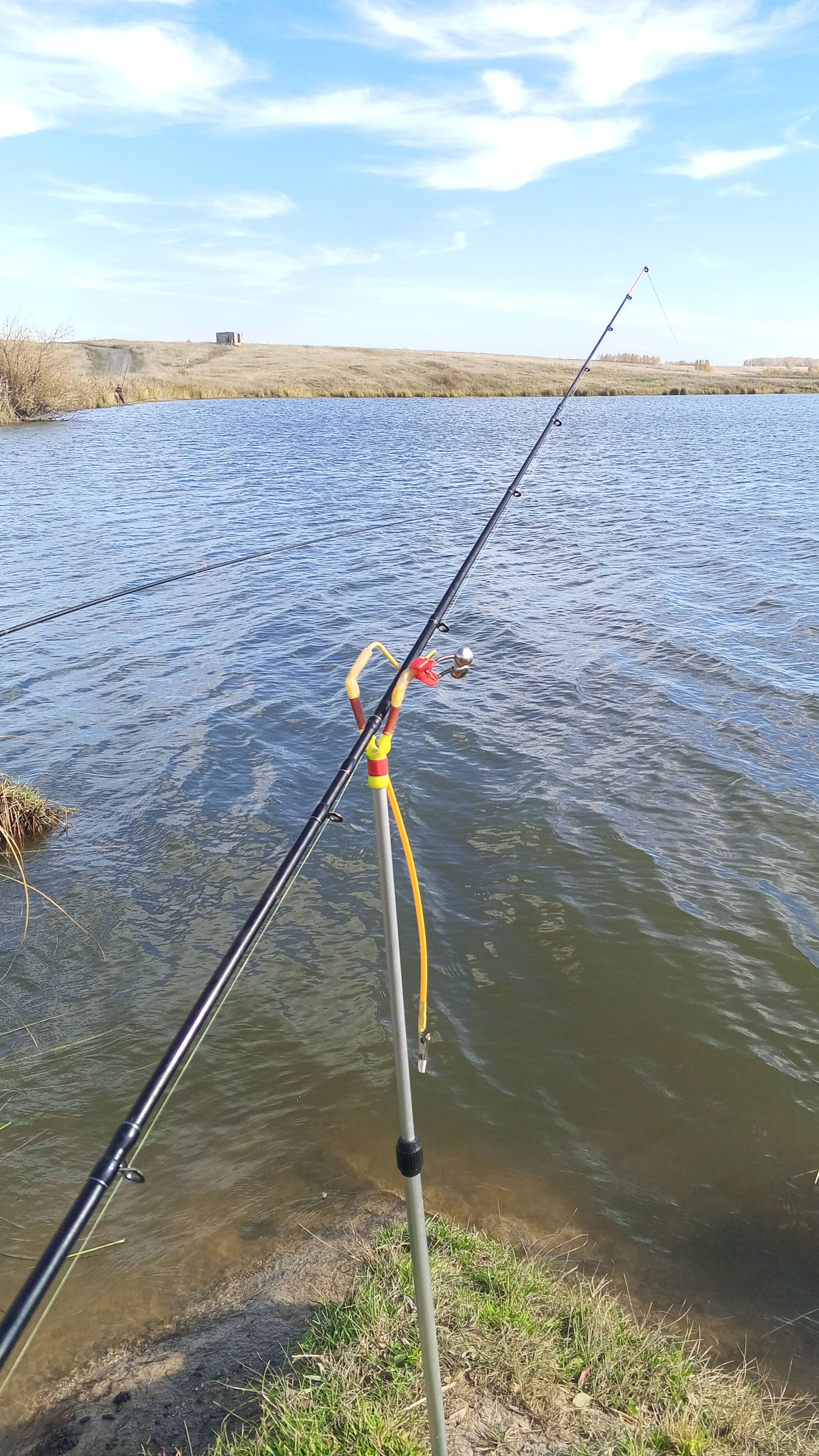 Этот сигнализатор поклёвок порвал интернет!