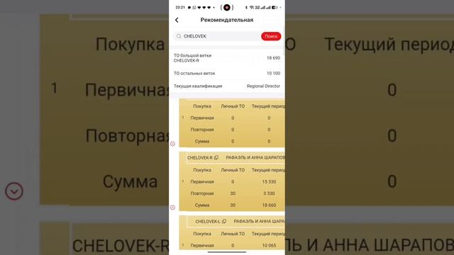 Полный обзор работы с личным кабинетом WHIEDA на телефоне | Шарапов Рафаэль смотреть онлайн