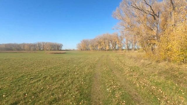 Гармония жизни.😊