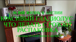 Красивый гладиолус. Что делать с розой? Ажиотаж с флагами. Распаковка. № 848 Жизнь в Англии