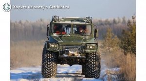 Охота в Владимирской области – Симское охотничье хозяйство охота на лося в Владимирской области