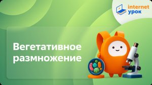 Вегетативное размножение. Видеоурок по биологии 6 класс