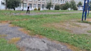 суета родная