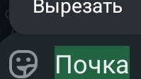 худею