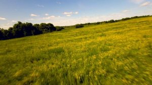 жёлто-зелёное