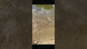 Марина У. Мир на ладони ! С нами на шашлык !