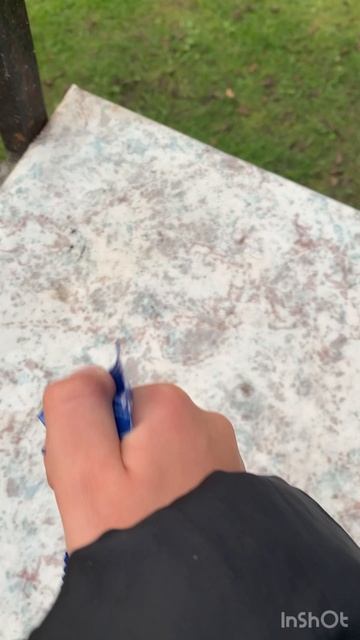 Осенний обзор Зверятышей