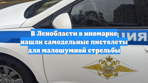 В Ленобласти в иномарке нашли самодельные пистолеты для малошумной стрельбы