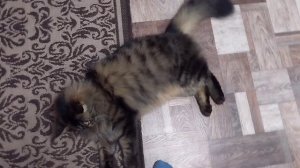 Погода загнала домой!