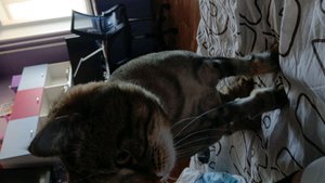 новое видеоооо