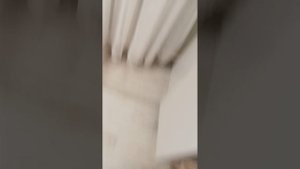 2 часть Настя 31000