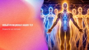 Новости из потока. Новый функционал наших тел | Ченнелинг Numerorum