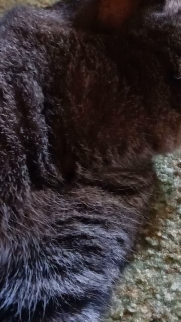 Джемик смотреть онлайн