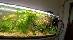 РАБОТА НА РАЗВОДНЕ