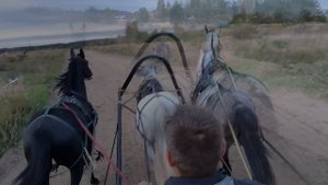 русская тройка