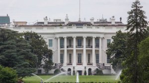 CNN: Трамп хочет отменить в США право на гражданство по рождению
