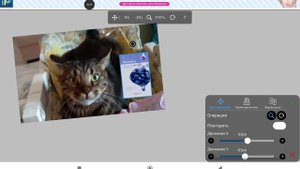 ухаживаем за Рудольфом1 часть