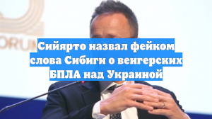 Сийярто назвал фейком слова Сибиги о венгерских БПЛА над Украиной