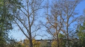 27 СЕНТЯБРЯ. ОСЕНЬ В МОЁМ ГОРОДЕ