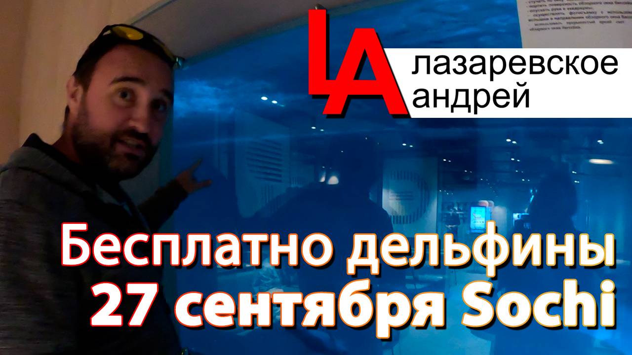 Бесплатно дельфины в Лазаревском Фото Видео!!!