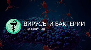 Вирусы и бактерии. В чём различия?