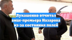 Лукашенко отчитал вице-премьера Назарова из-за состояния полей