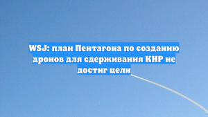 WSJ: план Пентагона по созданию дронов для сдерживания КНР не достиг цели