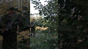 видео песня  корабли  посвящается всему  русскому  народу и партии лдпр