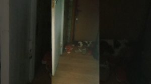 эТо так милоооооо он меня ждал 🥰