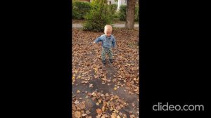 Рома впервые гуляет в Кулагинском сквере, 15:00, 27.09.2025