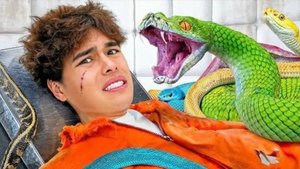 КТО ПОСЛЕДНИЙ ЗАКРИЧИТ, ПОЛУЧИТ $50 000