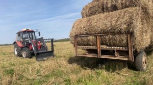 IMG_5325 Охота на Кабана