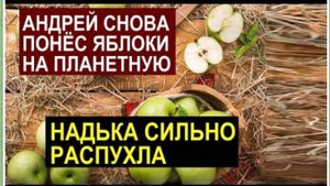 САМВЕЛ АДАМЯН, ОБЗОР ОТ СК, НАДЯ СТАЛА БОЛЬШЕ, СВЕТА ВЕЗЕТ В КИЕВ РЕЗУЛЬТАТЫ МРТ..