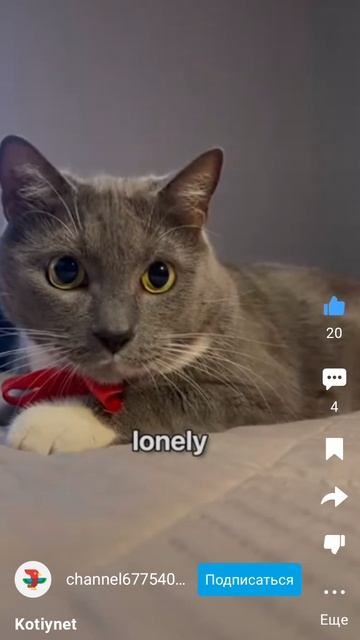 Лотков поют! #ДЕТЯМ #ПЕСНЯ