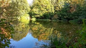 Прогулка у мраморного пруда осенним днём бабьего лета усадьба Ясенево Москва. Красота матушки земля!