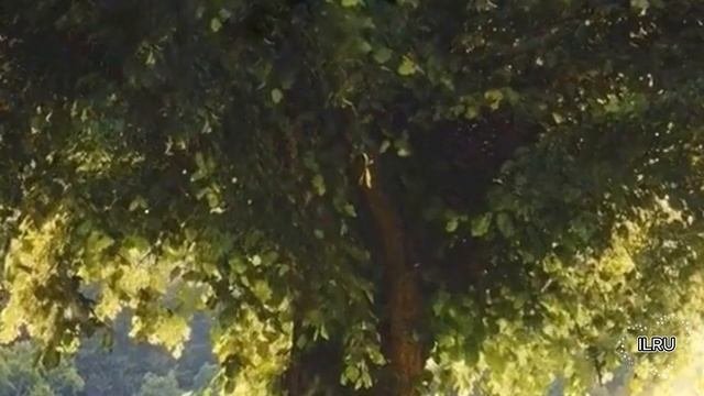 Истории из жизни|Маникюрша, которая видит измены|Аудио рассказы|Аудиокниги слушать онлайн|Жизненные