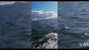 Церковь - маяк. Соловки.