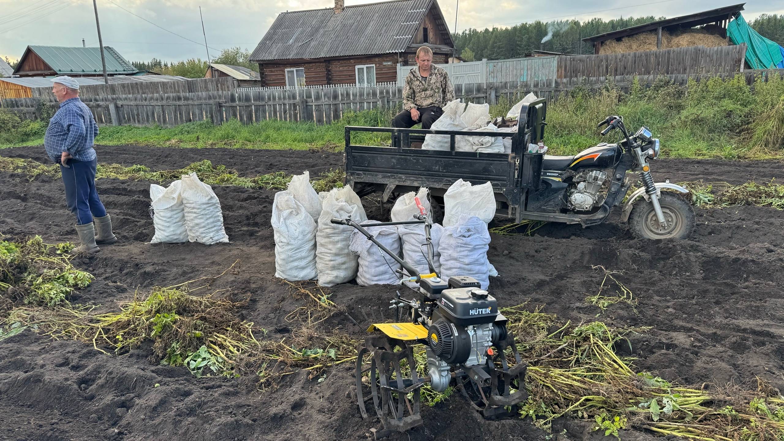 Копаем картошку в деревне. Первый выход на охоту по водоплавающей.